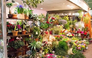 鲜花店加盟连锁品牌推荐
