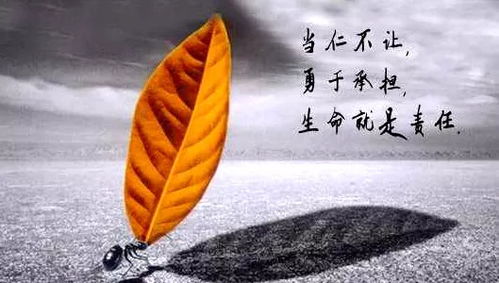 鸭绒被摊平全攻略，别让蓬松变堆堆的5大秘诀