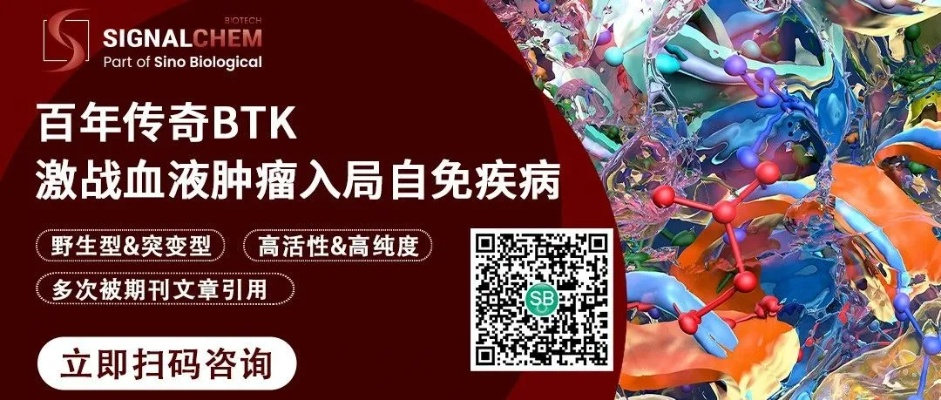 探索BTKM—一个医药品牌的故事