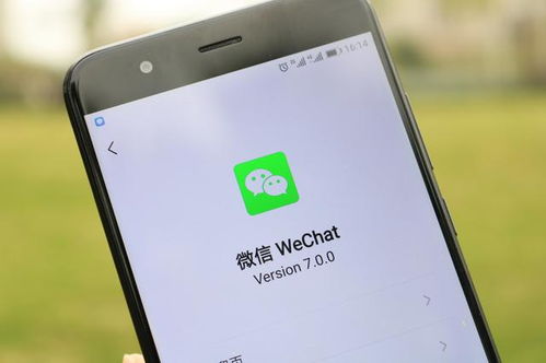 微信分付额度提现与查额技巧全解析