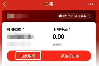 白条积分兑换提现全攻略，一步步教你如何操作，还有实用案例告诉你！