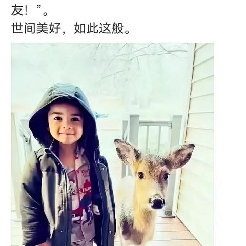 鹿优选额度提现全解析，如何安全提现与常见套路揭秘