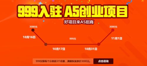 如何查加盟品牌有哪些项目？