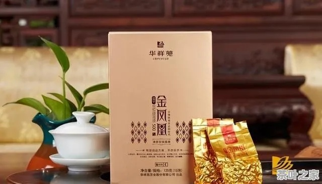 泉州茶叶品牌全解析，老字号到新锐品牌，喝出闽南风味