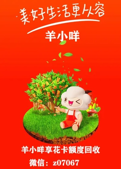 邵阳羊小咩享花卡提现到账时间详解