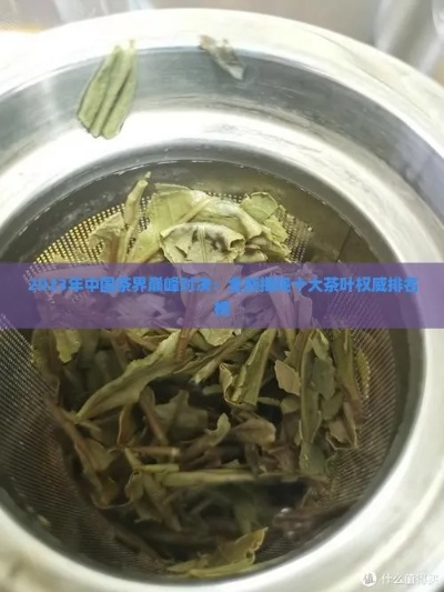 柳州茶叶品牌大比拼！2023最新口碑排行榜+选购指南