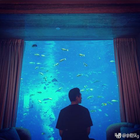 酒店开房记录怎么查