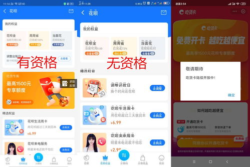 如何高效利用桃多多桃享卡额度？