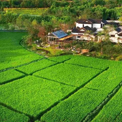 乡村旅游千篇一律？这届年轻人不买账！