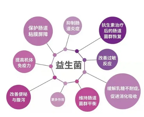 探索益生菌的奥秘，医药品牌中的佼佼者