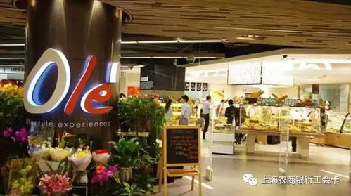 辽宁玩具门店品牌全解析，从老字号到网红爆款，手把手教你选对玩具
