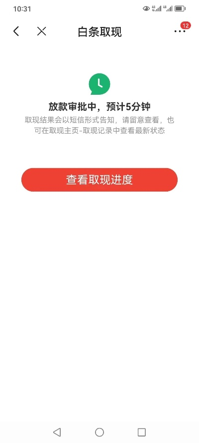 白条提现封号风险全解析，提现金额、触发规则和避坑指南