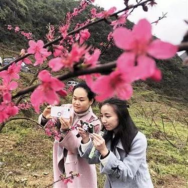 桃多多桃享卡额度如何套现？揭秘4万额度的利息计算