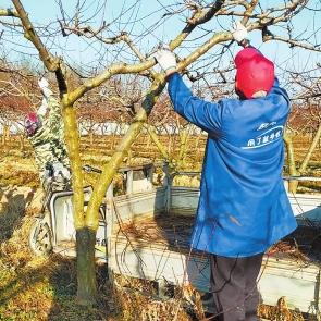 桃多多桃享卡额度如何套现？揭秘4万额度的利息计算