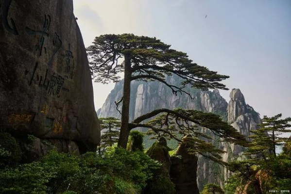 黄山必游景点排行榜，10个不可错过的自然奇观与人文瑰宝