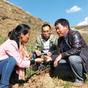 乡村振兴进行时，形势、挑战与破局之道