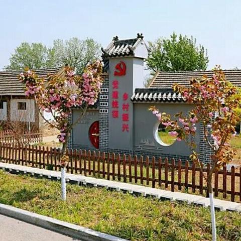 乡村振兴进行时，形势、挑战与破局之道