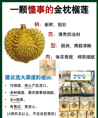 南通榴莲加盟店品牌推荐及案例分析