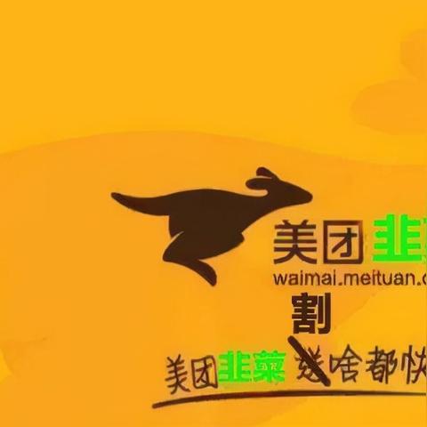 美团上怎么查订酒店记录？详细步骤与案例说明