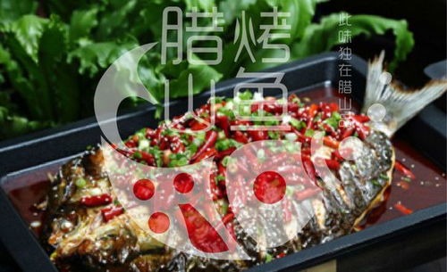 连锁烤鱼加盟店热门品牌推荐