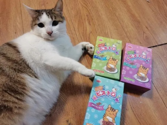 猫咪的零食+玩具双重狂欢，10个让人又爱又恨的互动零食品牌大测评