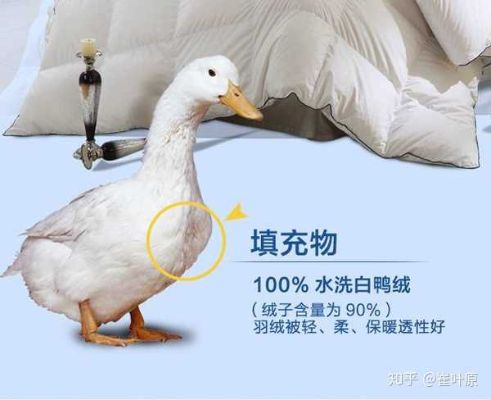 鸭绒被1100克等于多少斤？一篇文章说清楚你的保暖需求
