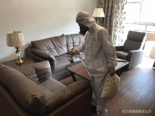 沙发去异味全攻略，这8大品牌效果实测，选对不踩雷！