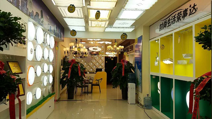 揭阳灯饰加盟店品牌推荐及案例分析