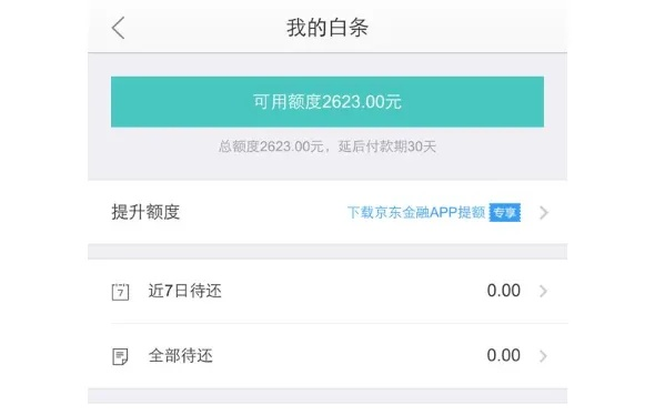 京东白条备用金提现攻略，如何选择最合适的选项？