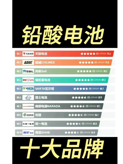 加盟电动车电瓶热门品牌推荐