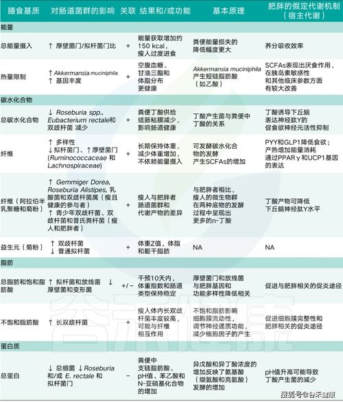 新沂分期乐取现额度全解析，额度多少？如何提升？常见问题解答！
