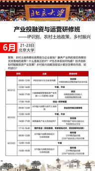 广西乡村振兴农产品申报全攻略，从申请到成功的关键步骤