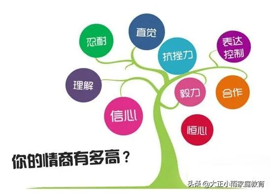 情商早教加盟，投资与收益的全面分析
