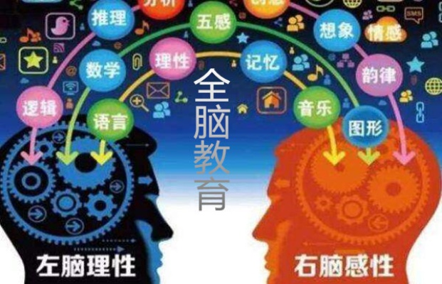 潮州全脑早教加盟电话