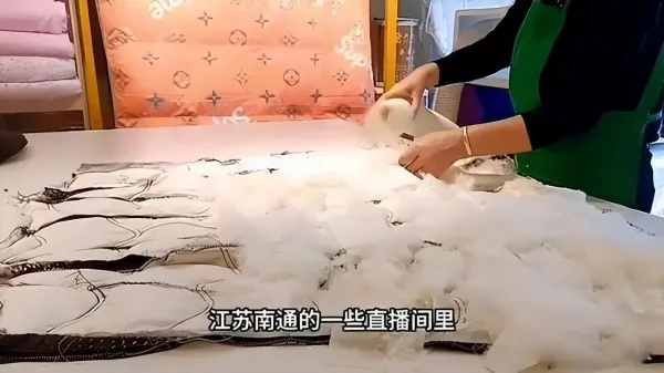 从10元到19万！一条鸭绒被为何引发全网热议？