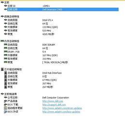政府采购电脑指定CPU品牌，利弊分析、操作指南与实战案例