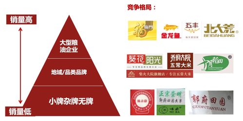 丽水小型加盟店品牌推荐及案例分析