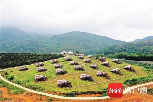 海南乡村振兴的三大金钥匙，生态、文旅与科技