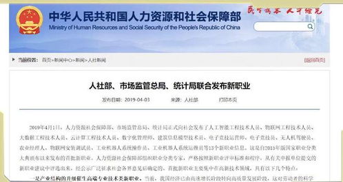北台乡村干部工资待遇全解析，数字背后的付出与挑战