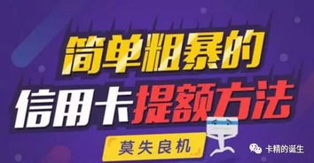 抖音月付额度如何高效套现？揭秘不定期提升背后的技巧与陷阱