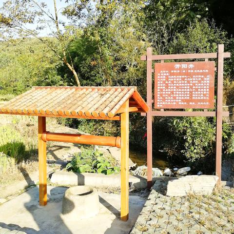 东岛美好乡村一日游全攻略，路线、玩法、避坑指南