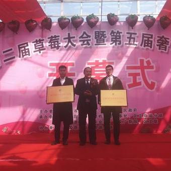 鹿优选提现全攻略，额度查询、提现技巧与常见问题解答