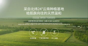 户外品牌PTR，探索自然，享受生活