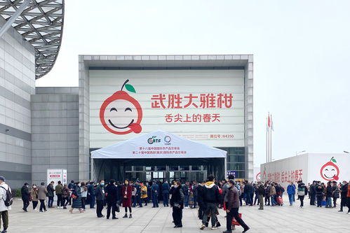 兰州加盟旅行社品牌大盘点