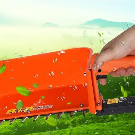 中国高端茶叶美食品牌全解析，从传统到创新，舌尖上的奢华体验