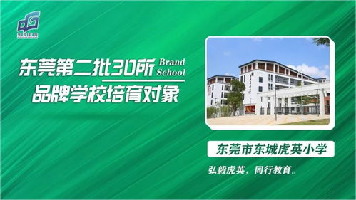 东莞清溪学西点去哪？这份指南帮你避坑选班！