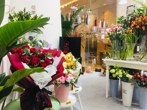 南阳鲜花加盟店品牌推荐