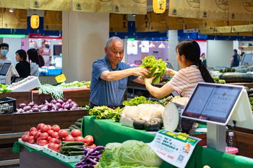 南昌卖菜加盟店品牌推荐及案例分析