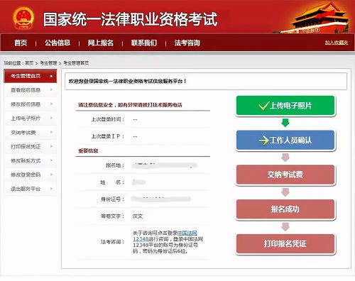广告网站分类全解析，手把手教你选对平台