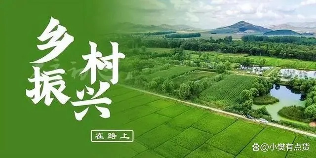 让乡村活水长流，三步破解人口结构困局